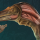 Imagen para el artículo titulado Nuevas pistas sugieren que la Península Ibérica era un hervidero de Spinosaurus durante el Cretácico